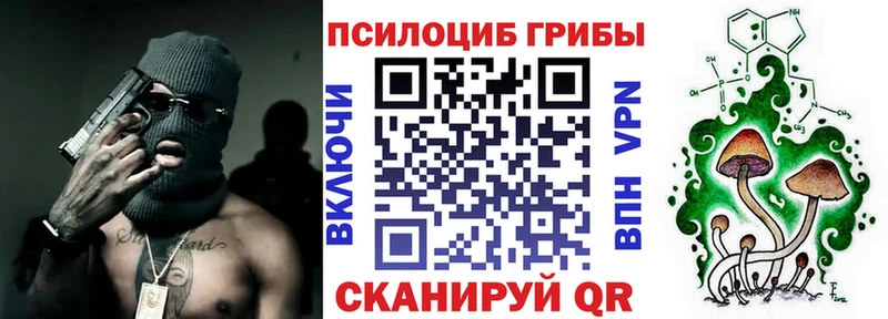 купить наркоту  Белоярский  гидра зеркало  Галлюциногенные грибы Psilocybe 